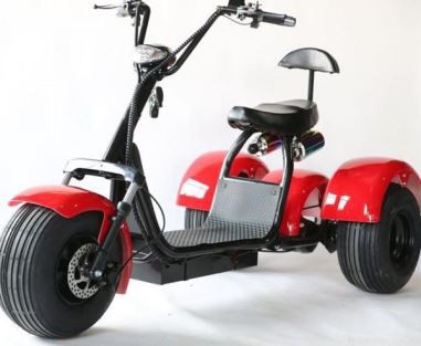 Citycoco New Design 3 Wheel Scooter