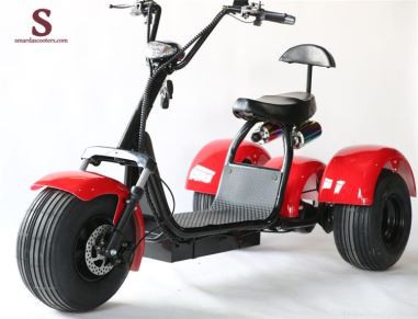 Citycoco 3 Wheel Scooter 2018 Hot Sale