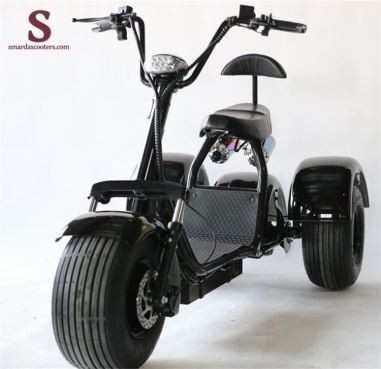 Citycoco Scooter 3 Wheels Electric Scooter for Adult Mobility Scooter 2000W